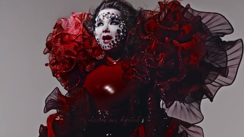 Björk Ovule