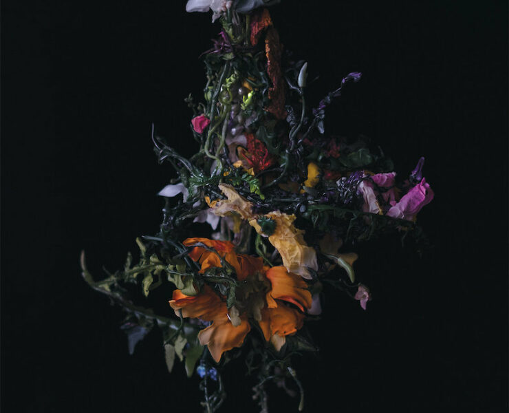 big brave nature morte review
