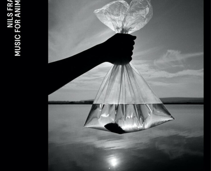 Nils Frahm Music for Animals review