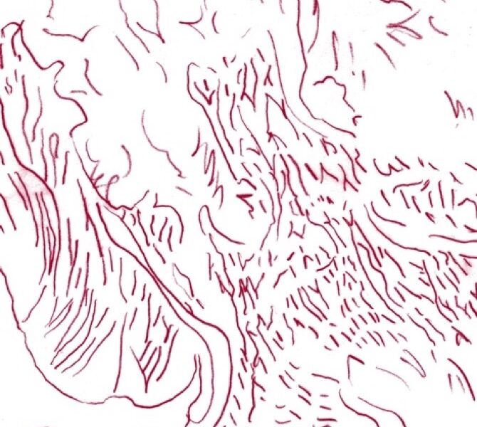 Tom Skinner Voices of Bishara review