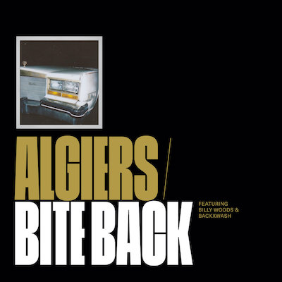 Algiers Bite Back