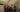 Alvvays tour