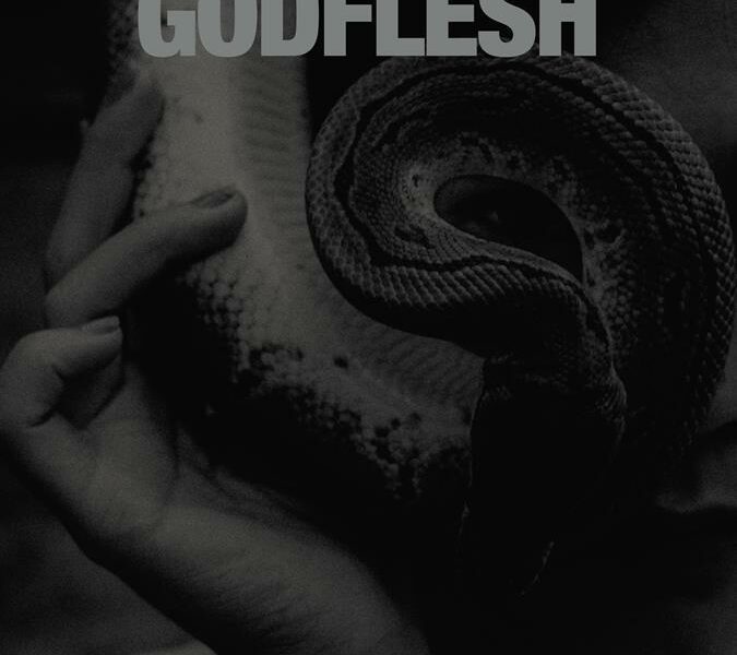 Godflesh new album Purge
