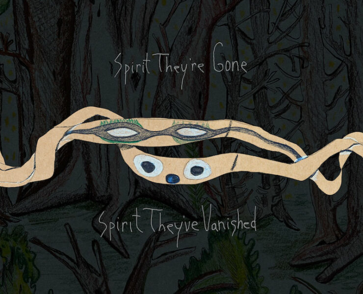 Animal Collective Spirit They're Gone reissue