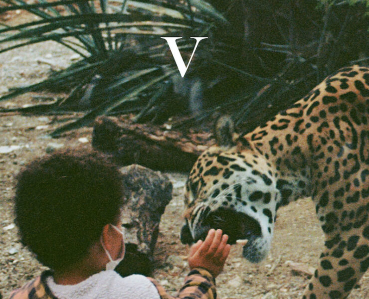 Unknown Mortal Orchestra V review
