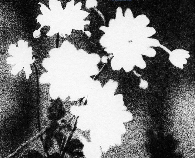 Loma Prieta last review