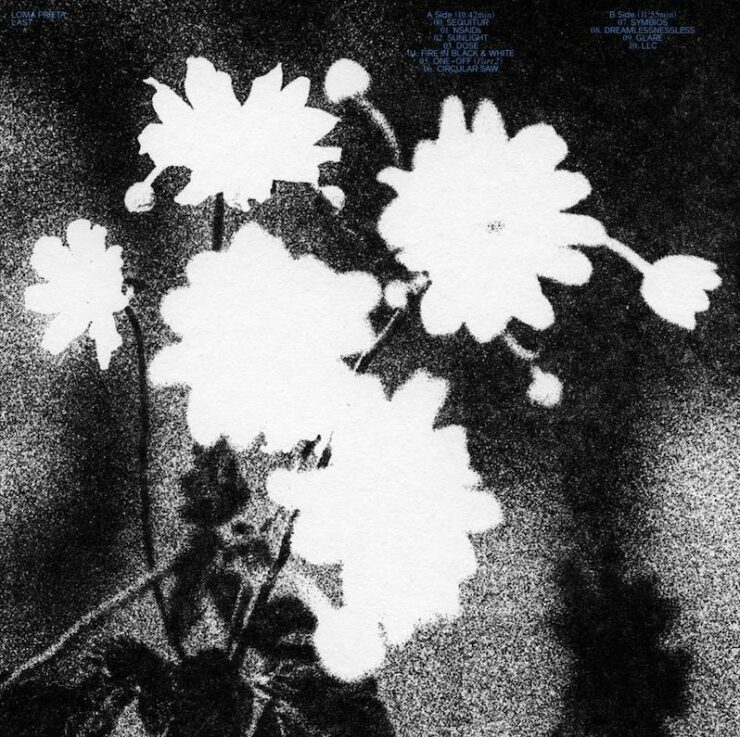 Loma Prieta last review