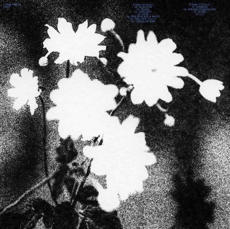 loma prieta new album last