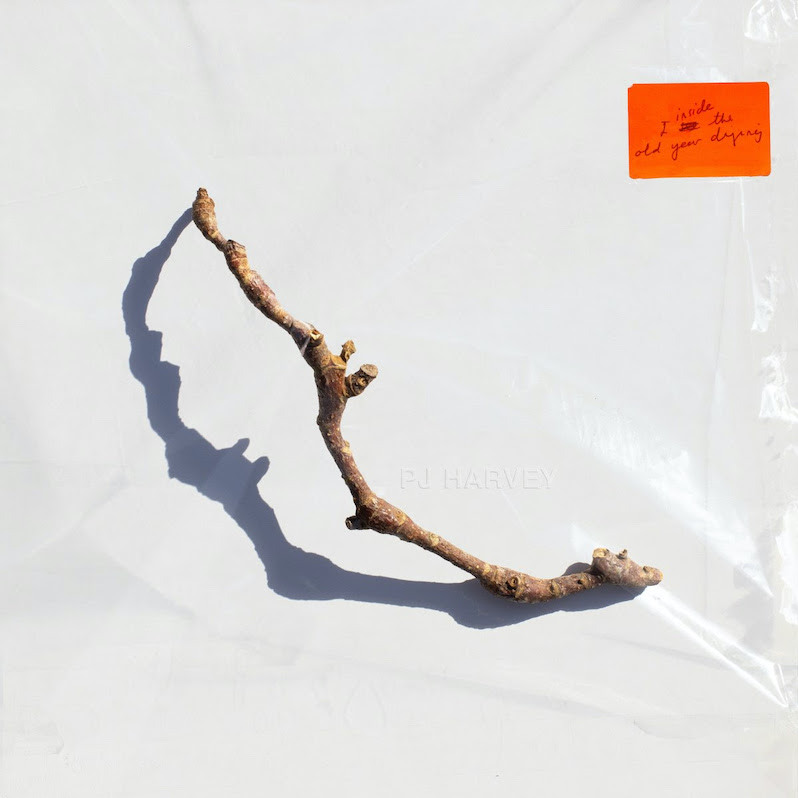 pj harvey i inside the old year dying review