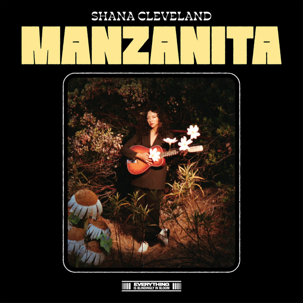 great albums you might have missed winter 2023 shana cleveland