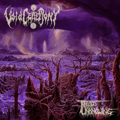 Voidceremony threads of unknowing