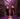 Drab Majesty