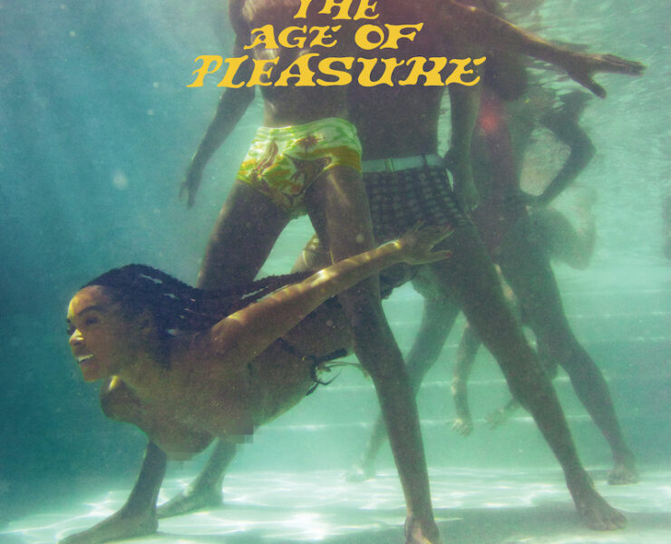 Janelle Monáe Age of Pleasure review
