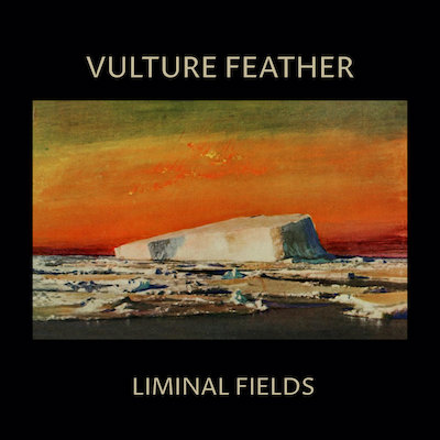 best new releases Vulture feather