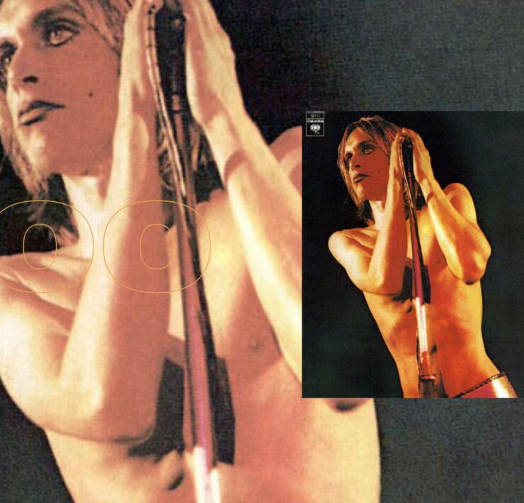 Stooges raw power treble 100