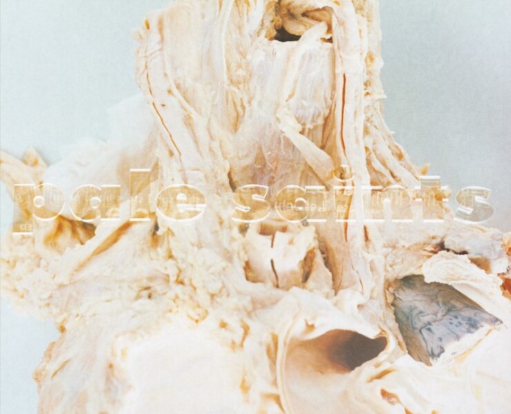 Pale Saints In Ribbons reissue