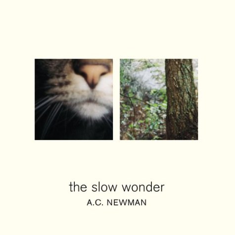 best albums of 2004 AC Newman