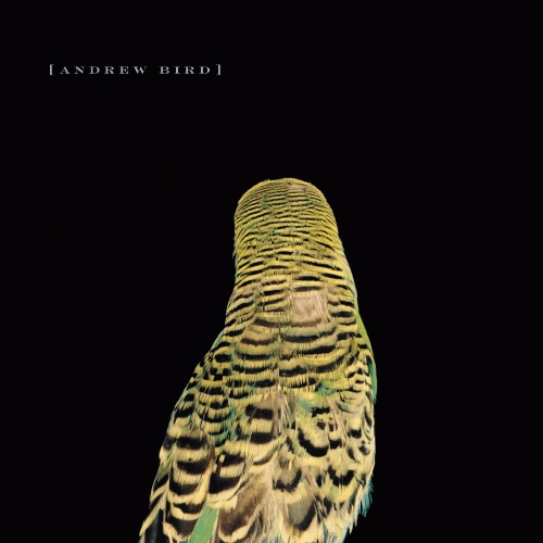 best albums of 2007 - Andrew Bird Armchair Apocrypha
