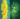 Seablite Lemon Lights review