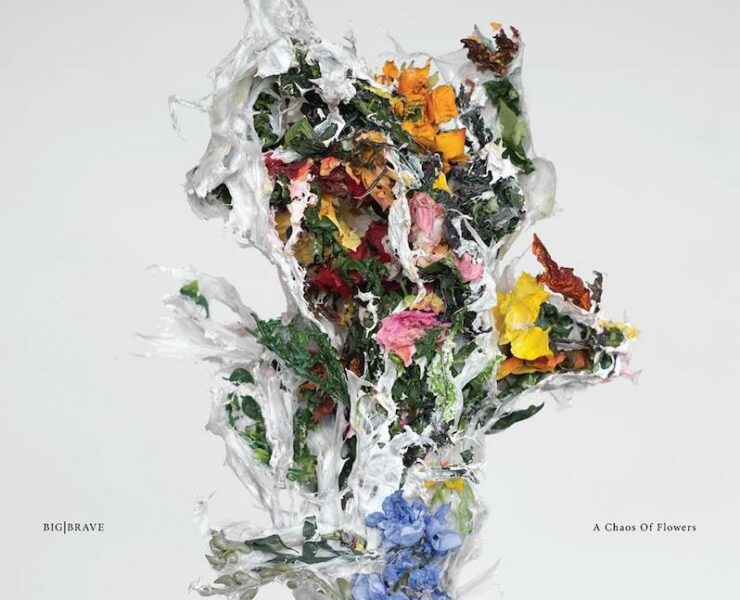 big|brave a chaos of flowers review