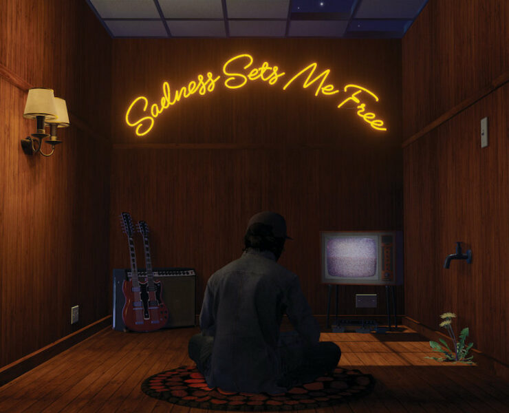 Gruff Rhys Sadness Sets me free review