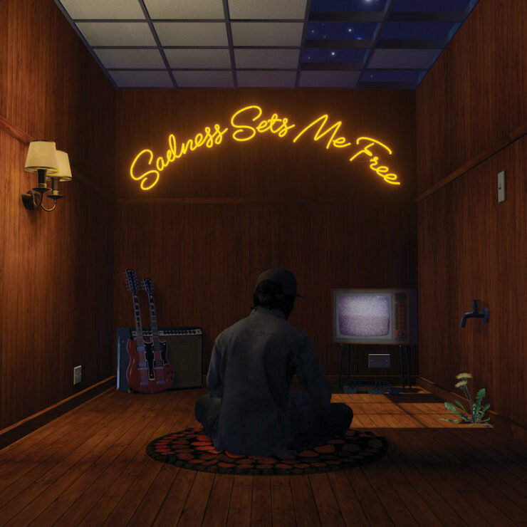 Gruff Rhys Sadness Sets me free review