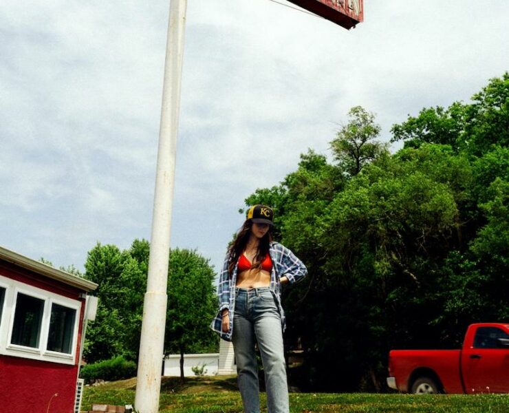 Waxahatchee Tigers Blood review