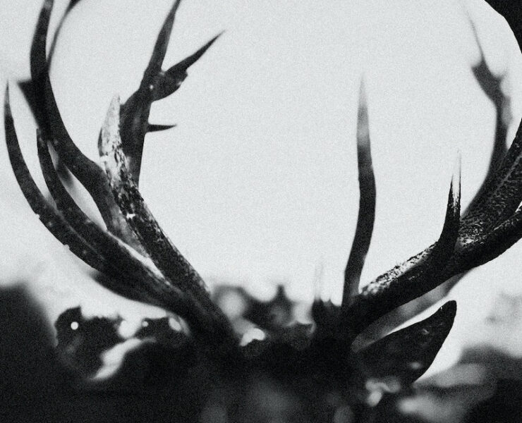 Ihsahn Ihsahn review