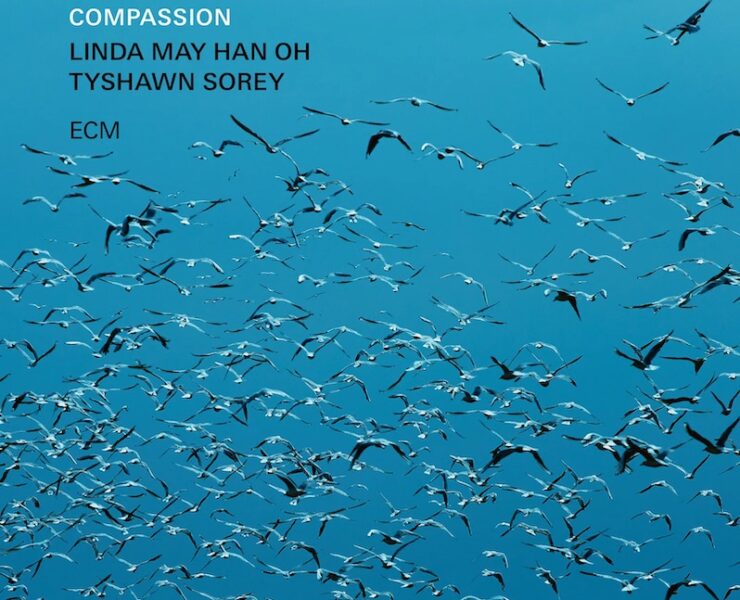 Vijay Iyer compassion review