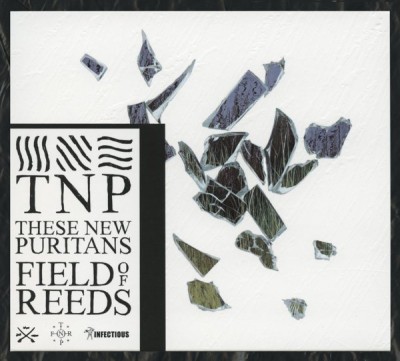 These New Puritans - Field of Reeds