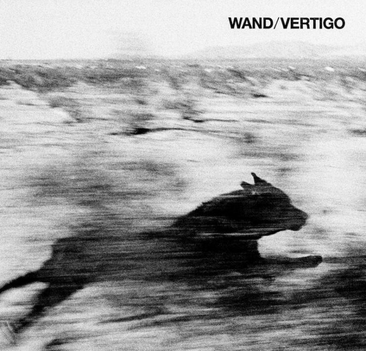 Wand vertigo review