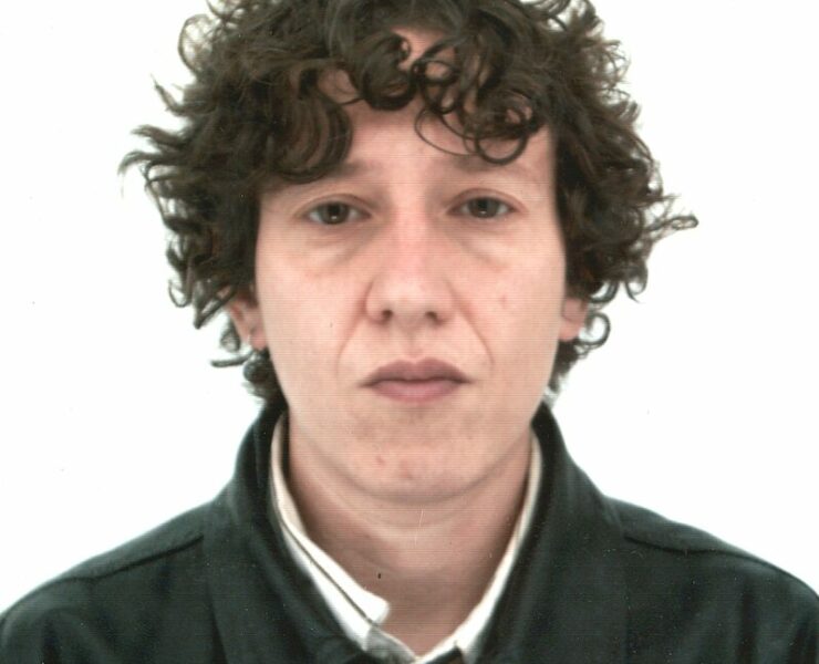 Mica Levi