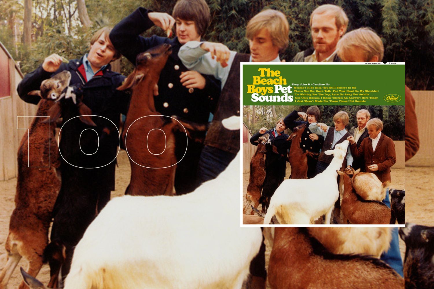 Beach Boys Pet Sounds
