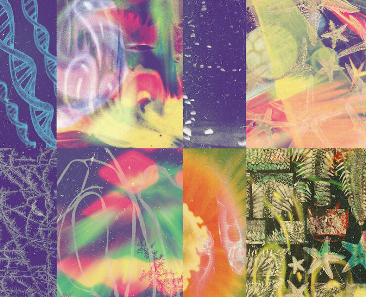 Nap Eyes The Neon Gate review