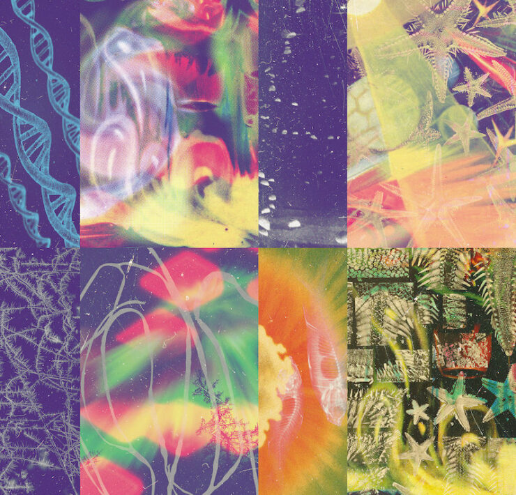 Nap Eyes The Neon Gate review