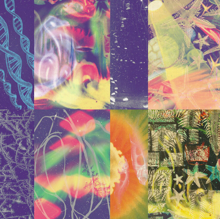 Nap Eyes The Neon Gate review