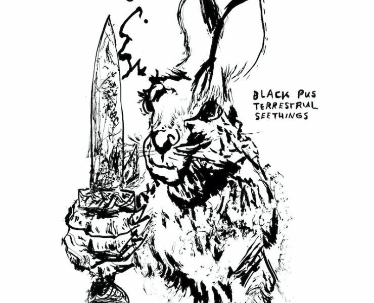 Black Pus Terrestrial Seethings review