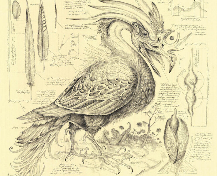 Sarah Belle Reid and Vinny Golia Accidental Ornithology review