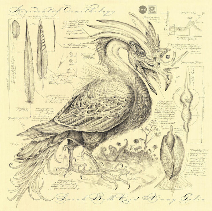 Sarah Belle Reid and Vinny Golia Accidental Ornithology review