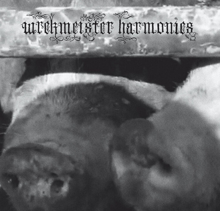 Wrekmesiter Harmonies Flowers in the Spring review