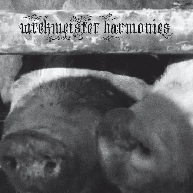 Wrekmesiter Harmonies Flowers in the Spring review