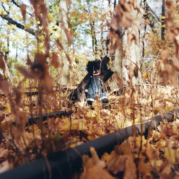 billy woods: Golliwog