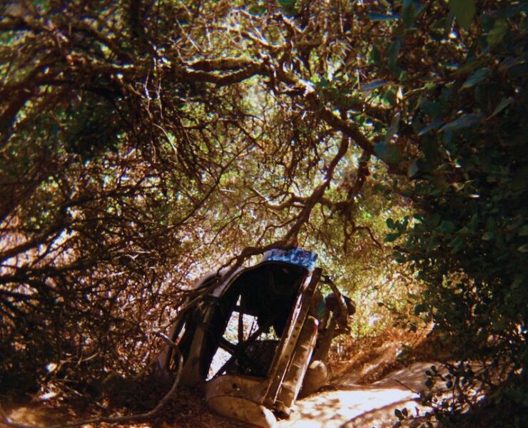Ty Segall possession review