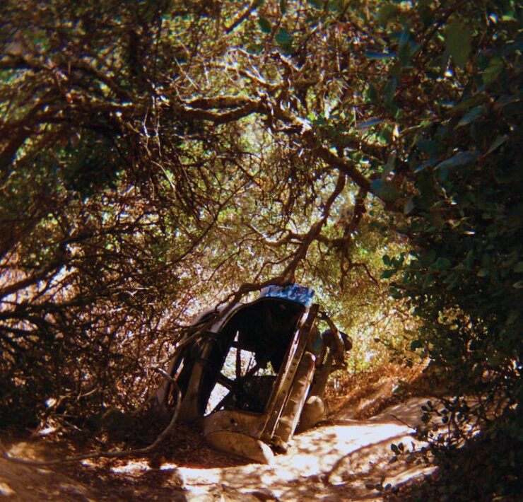 Ty Segall possession review
