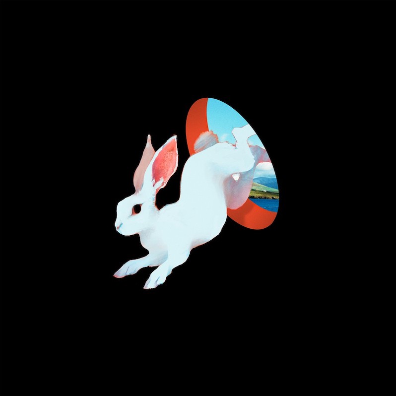 Ganser new album - Animal Hospital