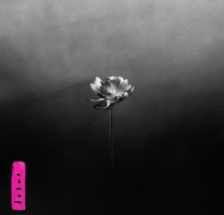 Little Simz Lotus review