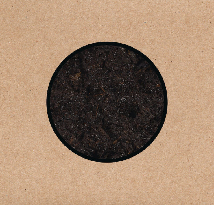 Swans birthing review