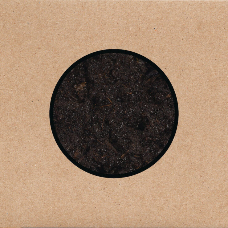 Swans birthing review