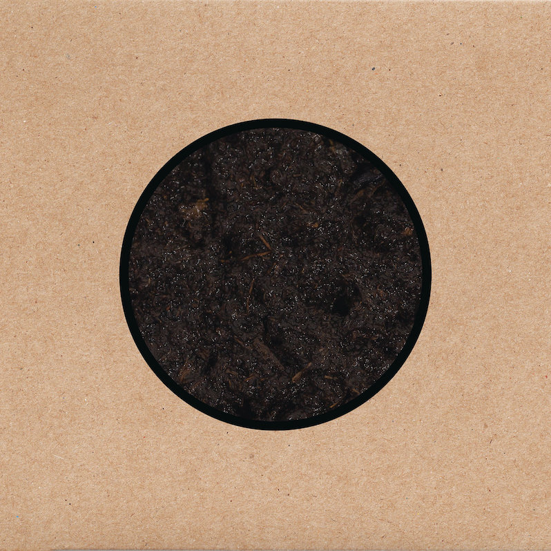 Swans birthing review