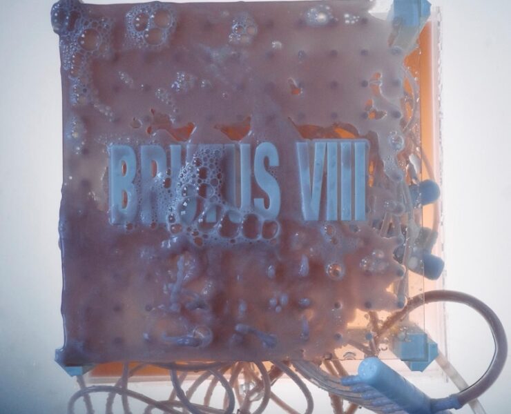 Brutus VIII Do It For the Money review